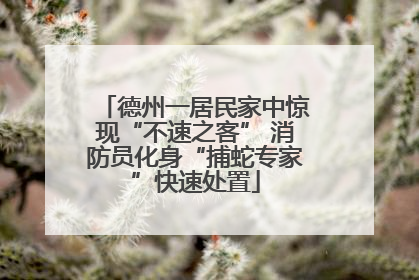 德州一居民家中惊现“不速之客” 消防员化身“捕蛇专家”快速处置