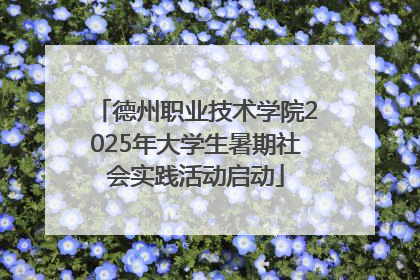 德州职业技术学院2025年大学生暑期社会实践活动启动