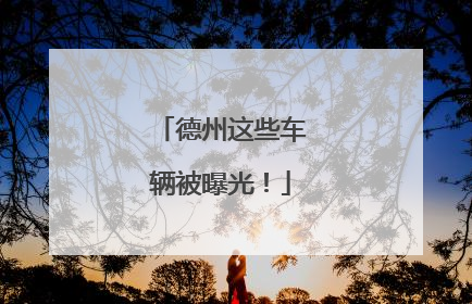 德州这些车辆被曝光！