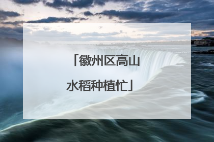 徽州区高山水稻种植忙