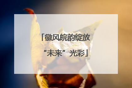 徽风皖韵绽放“未来”光彩