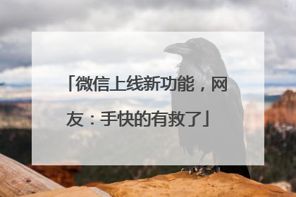 微信上线新功能，网友：手快的有救了