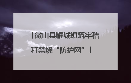 微山县驩城镇筑牢秸秆禁烧“防护网”