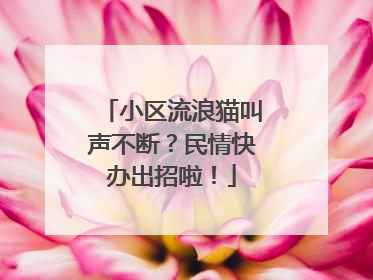 小区流浪猫叫声不断？民情快办出招啦！