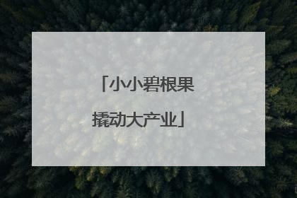 小小碧根果撬动大产业