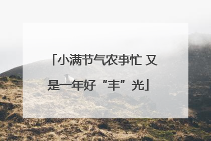 小满节气农事忙 又是一年好“丰”光
