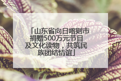 山东省向日喀则市捐赠500万元节目及文化读物，共筑民族团结情谊