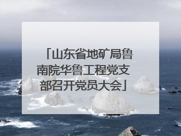 山东省地矿局鲁南院华鲁工程党支部召开党员大会