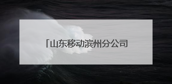 山东移动滨州分公司聚焦“打猫”行动 筑牢群众财产防护堤