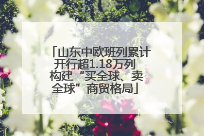 山东中欧班列累计开行超1.18万列 构建“买全球、卖全球”商贸格局