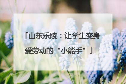 山东乐陵：让学生变身爱劳动的“小能手”