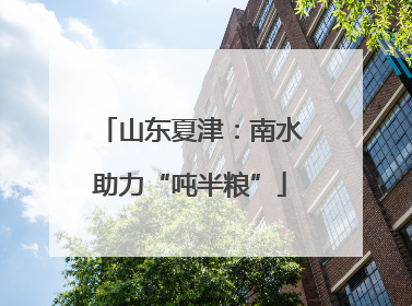 山东夏津：南水助力“吨半粮”