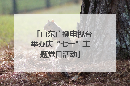 山东广播电视台举办庆“七一”主题党日活动