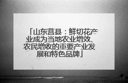 山东莒县：鲜切花产业成为当地农业增效、农民增收的重要产业发展和特色品牌
