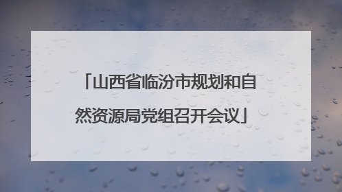 山西省临汾市规划和自然资源局党组召开会议