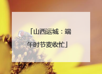 山西运城：端午时节麦收忙