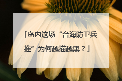 岛内这场“台海防卫兵推”为何越描越黑？