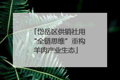 岱岳区供销社用“全链思维”重构羊肉产业生态