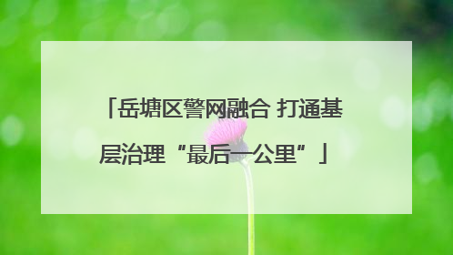 岳塘区警网融合 打通基层治理“最后一公里”