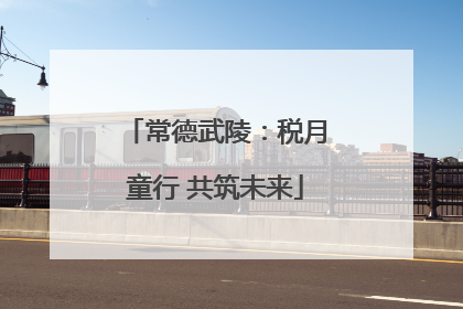 常德武陵：税月童行 共筑未来