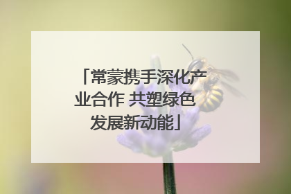 常蒙携手深化产业合作 共塑绿色发展新动能