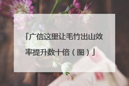 广信这里让毛竹出山效率提升数十倍（图）