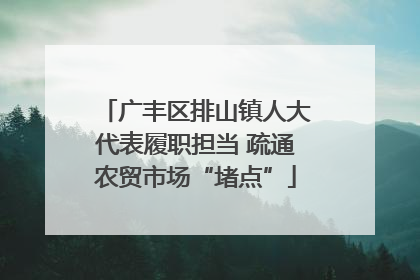 广丰区排山镇人大代表履职担当 疏通农贸市场“堵点”