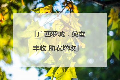 广西罗城：桑蚕丰收 助农增收