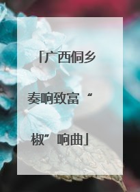 广西侗乡奏响致富“椒”响曲