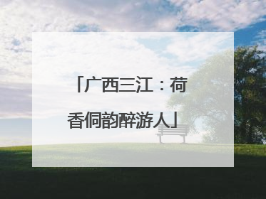 广西三江：荷香侗韵醉游人
