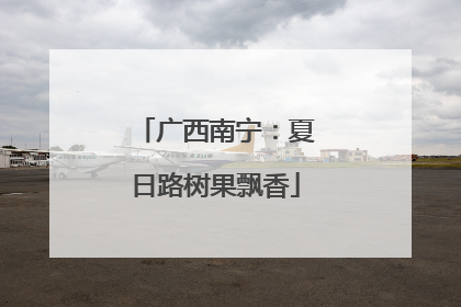 广西南宁：夏日路树果飘香
