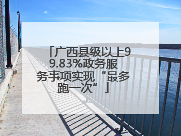 广西县级以上99.83%政务服务事项实现“最多跑一次”