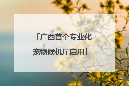 广西首个专业化宠物候机厅启用