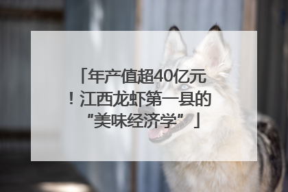 年产值超40亿元！江西龙虾第一县的“美味经济学”