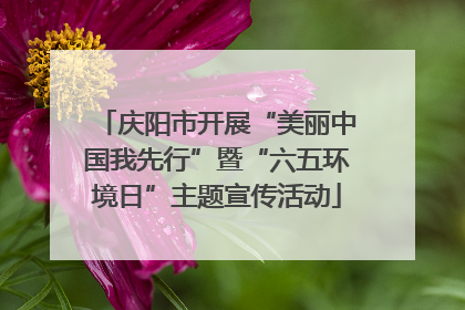 庆阳市开展“美丽中国我先行”暨“六五环境日”主题宣传活动