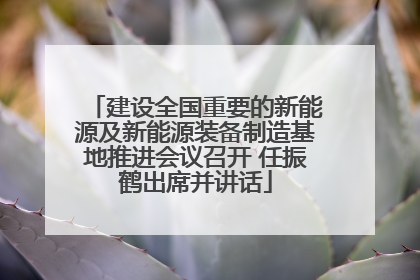 建设全国重要的新能源及新能源装备制造基地推进会议召开 任振鹤出席并讲话