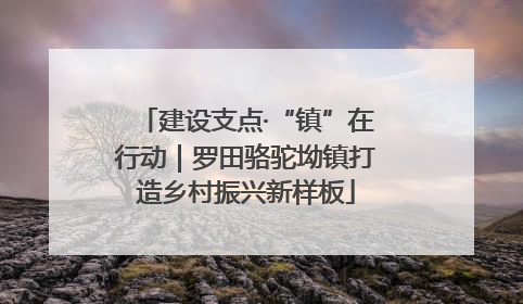 建设支点·“镇”在行动｜罗田骆驼坳镇打造乡村振兴新样板