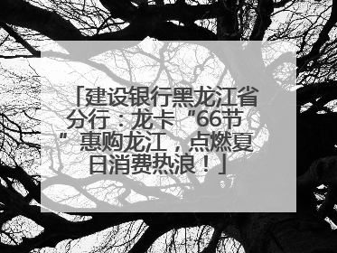 建设银行黑龙江省分行：龙卡“66节”惠购龙江，点燃夏日消费热浪！