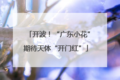 开波！“广东小花”期待天体“开门红”
