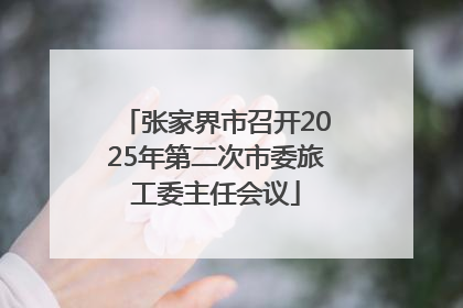 张家界市召开2025年第二次市委旅工委主任会议