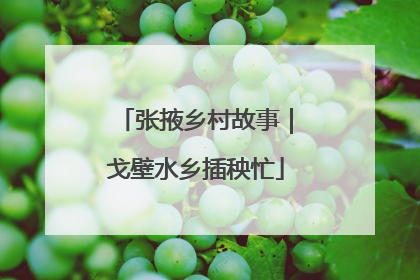 张掖乡村故事｜戈壁水乡插秧忙