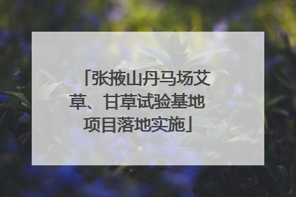 张掖山丹马场艾草、甘草试验基地项目落地实施