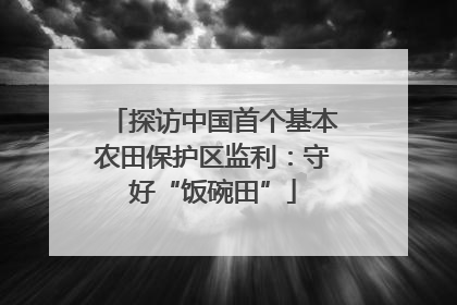 探访中国首个基本农田保护区监利：守好“饭碗田”