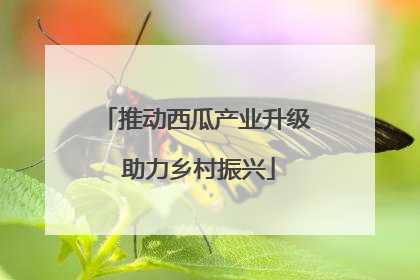 推动西瓜产业升级 助力乡村振兴