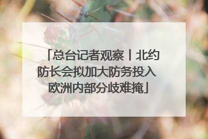 总台记者观察丨北约防长会拟加大防务投入 欧洲内部分歧难掩