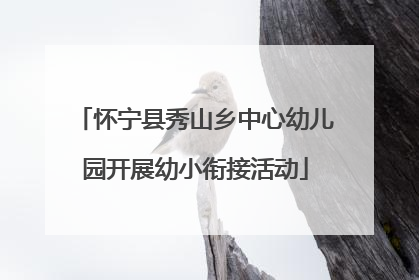 怀宁县秀山乡中心幼儿园开展幼小衔接活动