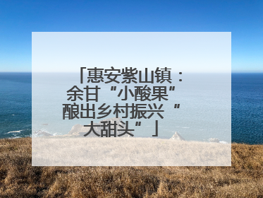 惠安紫山镇：余甘“小酸果”酿出乡村振兴“大甜头”