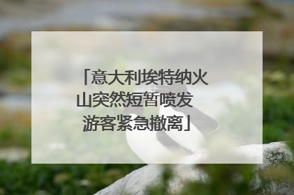 意大利埃特纳火山突然短暂喷发 游客紧急撤离