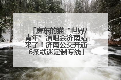 房东的猫“世界/青年”演唱会济南站来了！济南公交开通6条歌迷定制专线