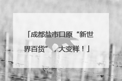 成都盐市口原“新世界百货”，大变样！